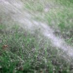 Macro,Close-up,Of,Water,Spraying,On,A,Green,Lush,Yard
