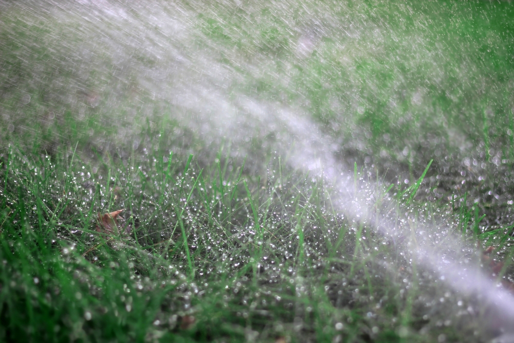 Macro,Close-up,Of,Water,Spraying,On,A,Green,Lush,Yard