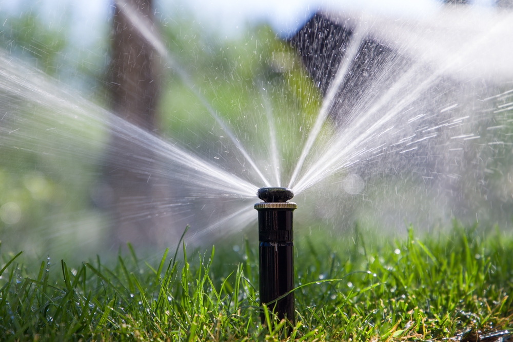 Sprinkler,Spraying,Water,On,Green,Grass,In,Garden.,Irrigation,System