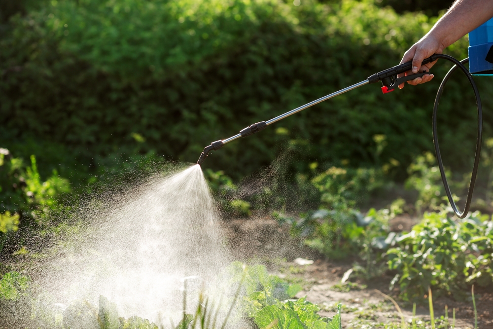 A,Poison,Sprayer,With,A,Telescopic,Tube,Sprays,The,Spray